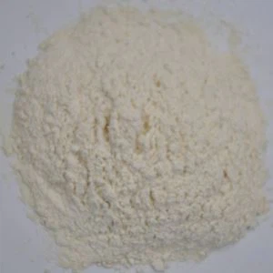 Rasuti češnjak u prahu